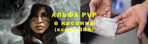 PSILOCYBIN Гусев